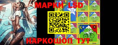 индика Обь