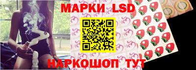 индика Обь