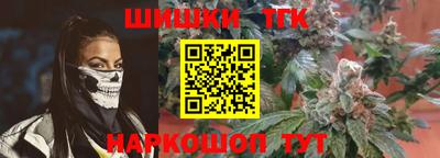 индика Обь