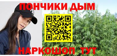 индика Обь