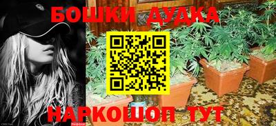 индика Обь