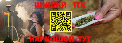 индика Обь