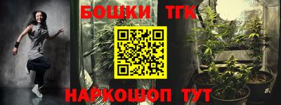 индика Обь