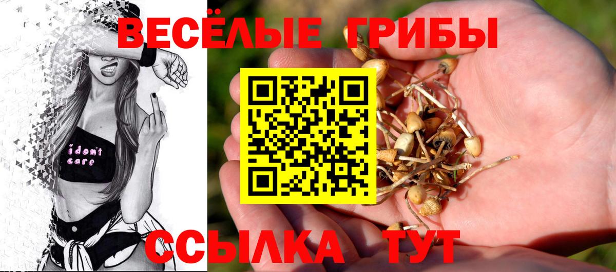 Галлюциногенные грибы Psilocybine cubensis  Псилоцибиновые грибы мицелий  купить наркотики цена  Вход с VPN  Урус-Мартан 